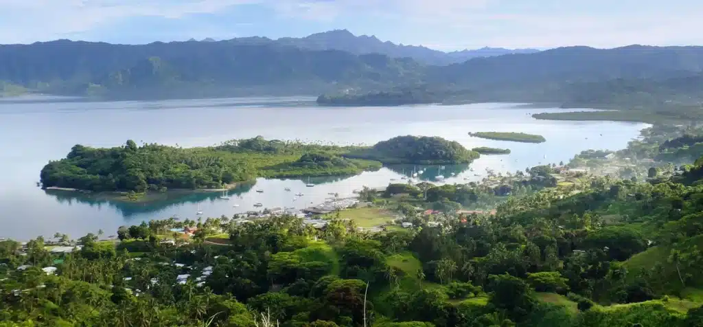 Fiji Kava Diversity